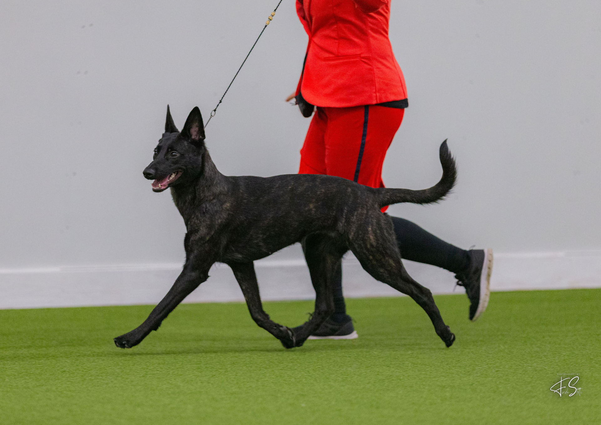 Bertta. Kuva: Frida Slotte