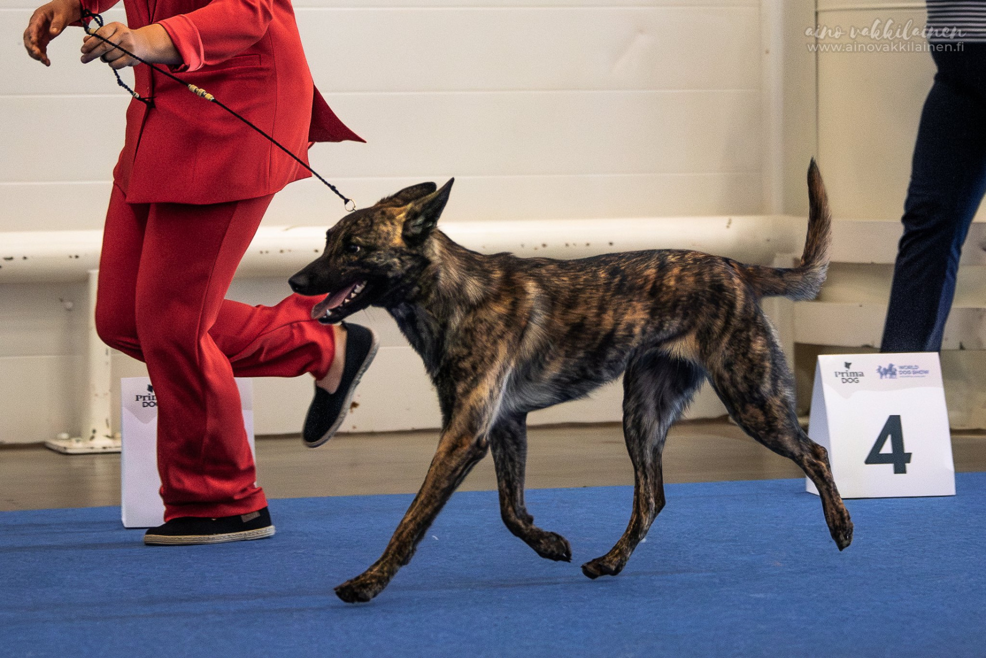 Kuva: Aino Vakkilainen