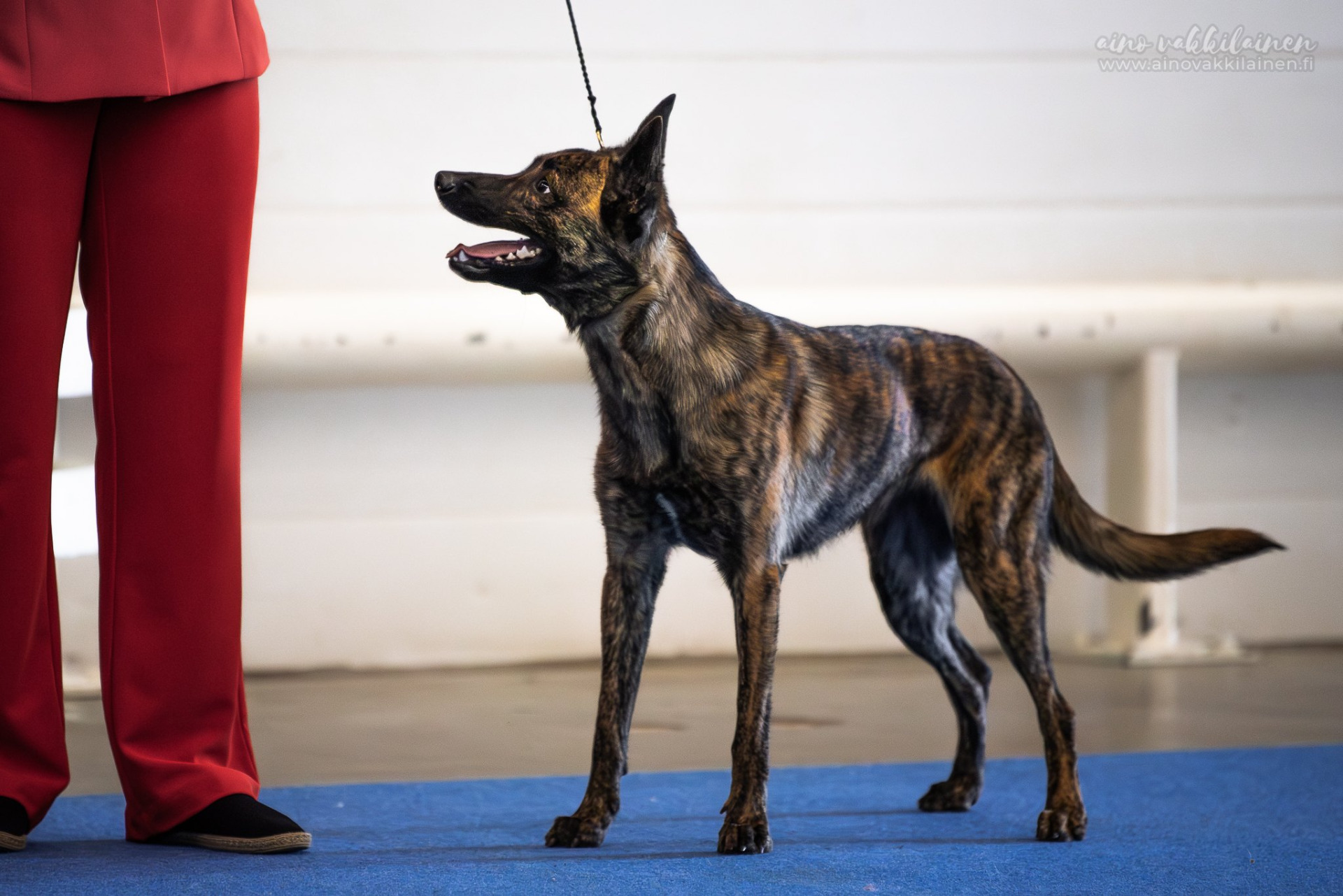 Kuva: Aino Vakkilainen